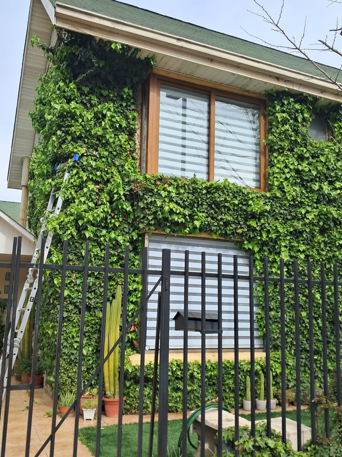 Ventanas de Aluminio y PVC a Medidas