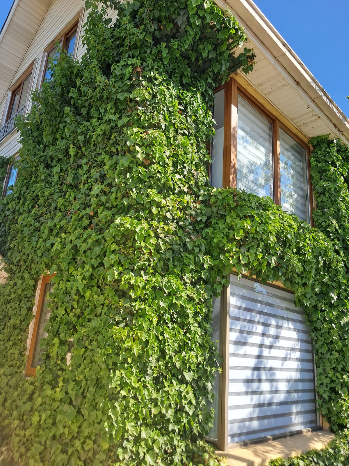 Ventanas de Aluminio y PVC a Medidas